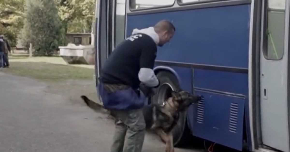 A hősies tett után eladott busz: az önkéntesek története